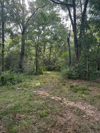 a view of outdoor space and green space
