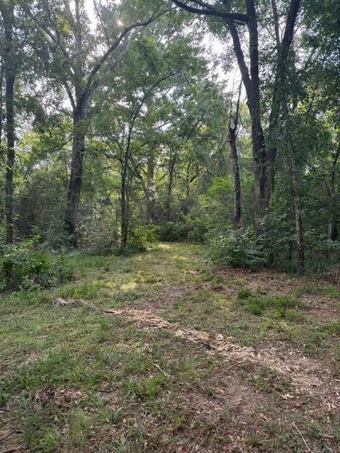 25571 Kimbro Road Hockley, TX 77447 - Photo 5 of 6 a view of outdoor space and green space