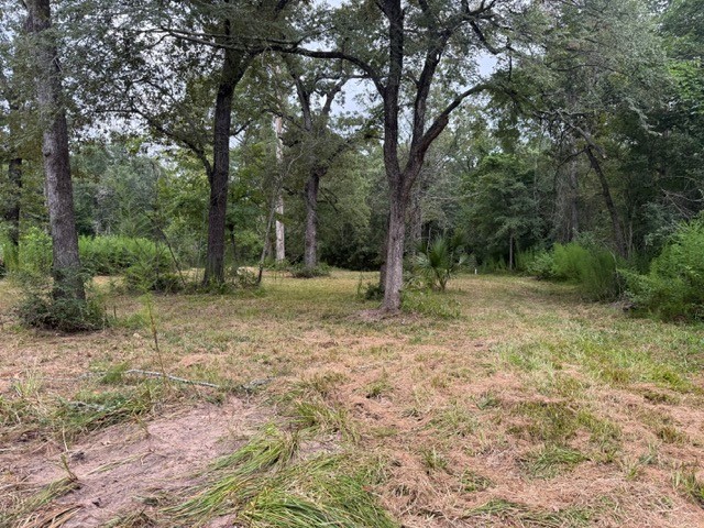 25571 Kimbro Road Hockley, TX 77447 - Photo 6 of 6 a view of outdoor space with trees