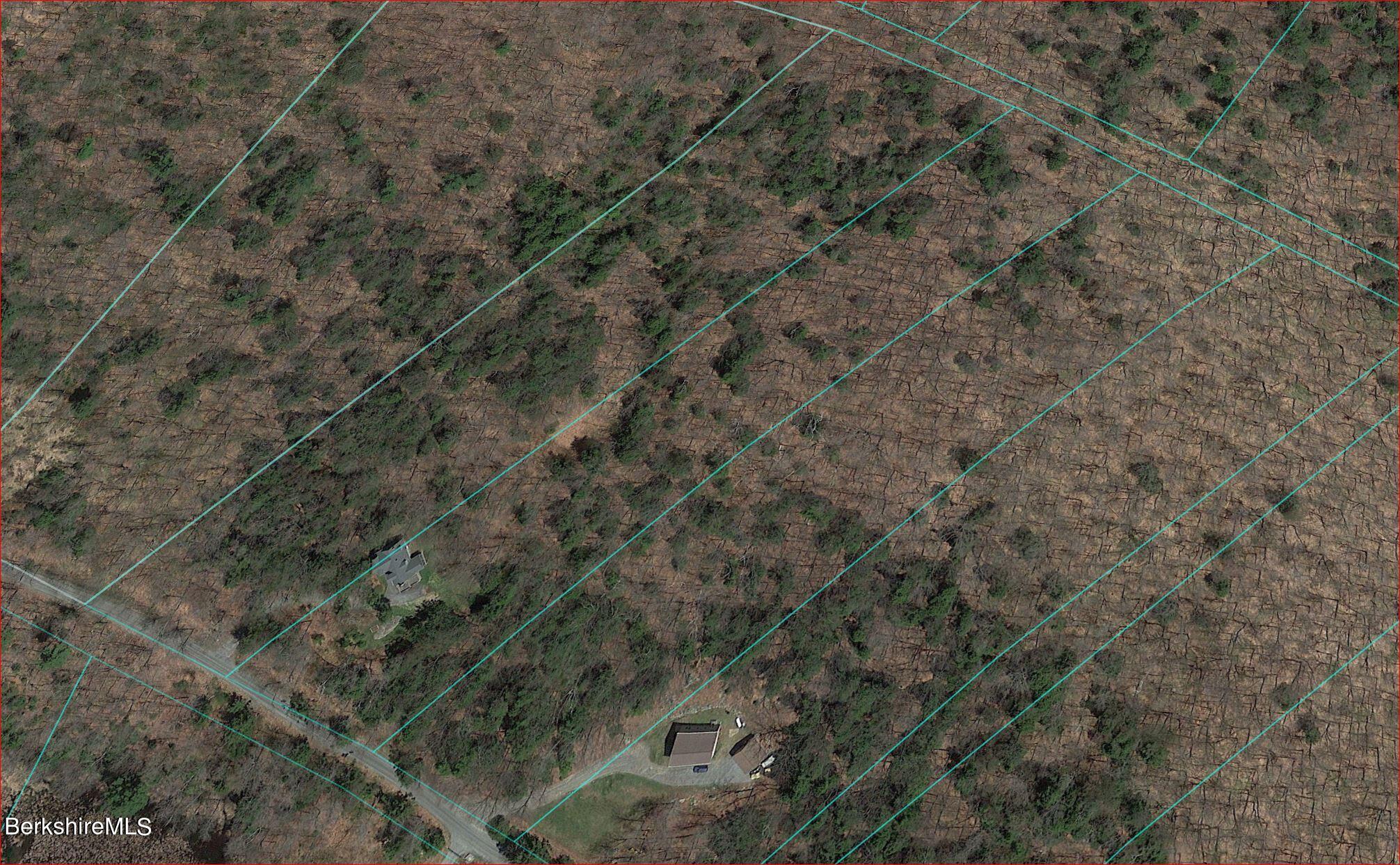 Lot 22 West Center Road Otis, MA 01253 - Photo 6 of 8 a close view of a forest with a dry yard