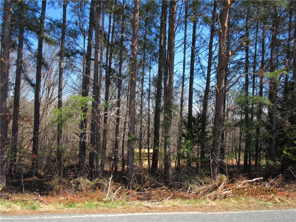 572 Pleasant Hill Loop Road Rutherfordton, NC 28139 - Photo 1 of 6