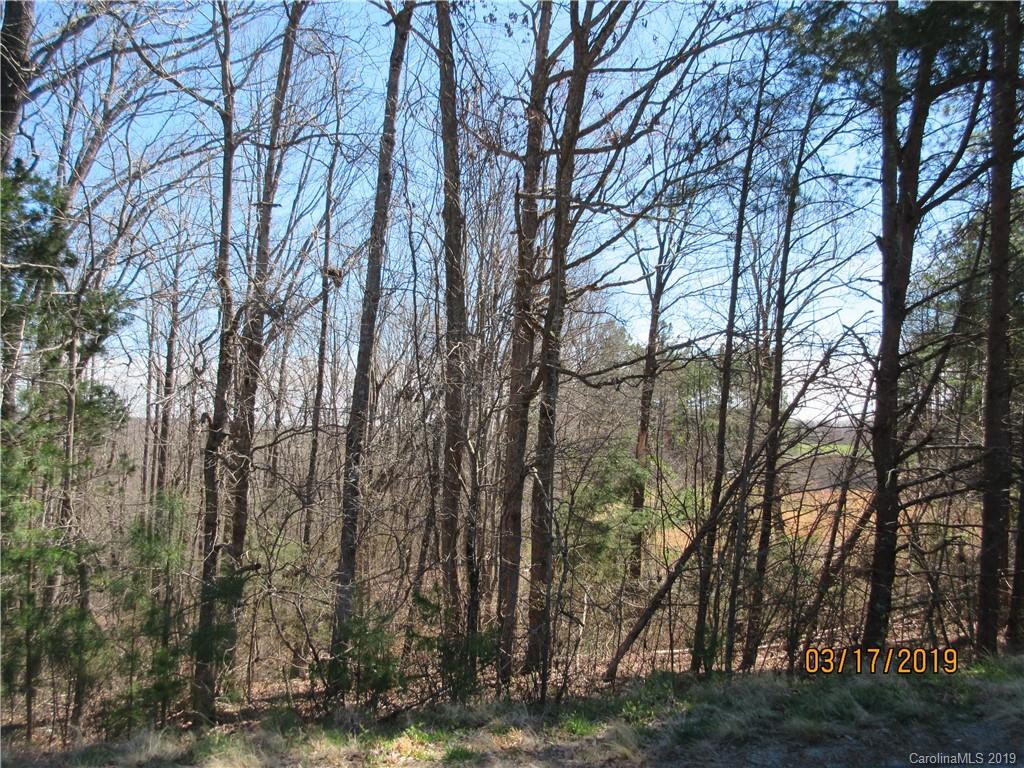 572 Pleasant Hill Loop Road Rutherfordton, NC 28139 - Photo 2 of 6
