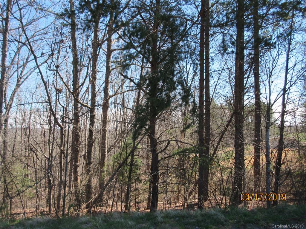 572 Pleasant Hill Loop Road Rutherfordton, NC 28139 - Photo 3 of 6