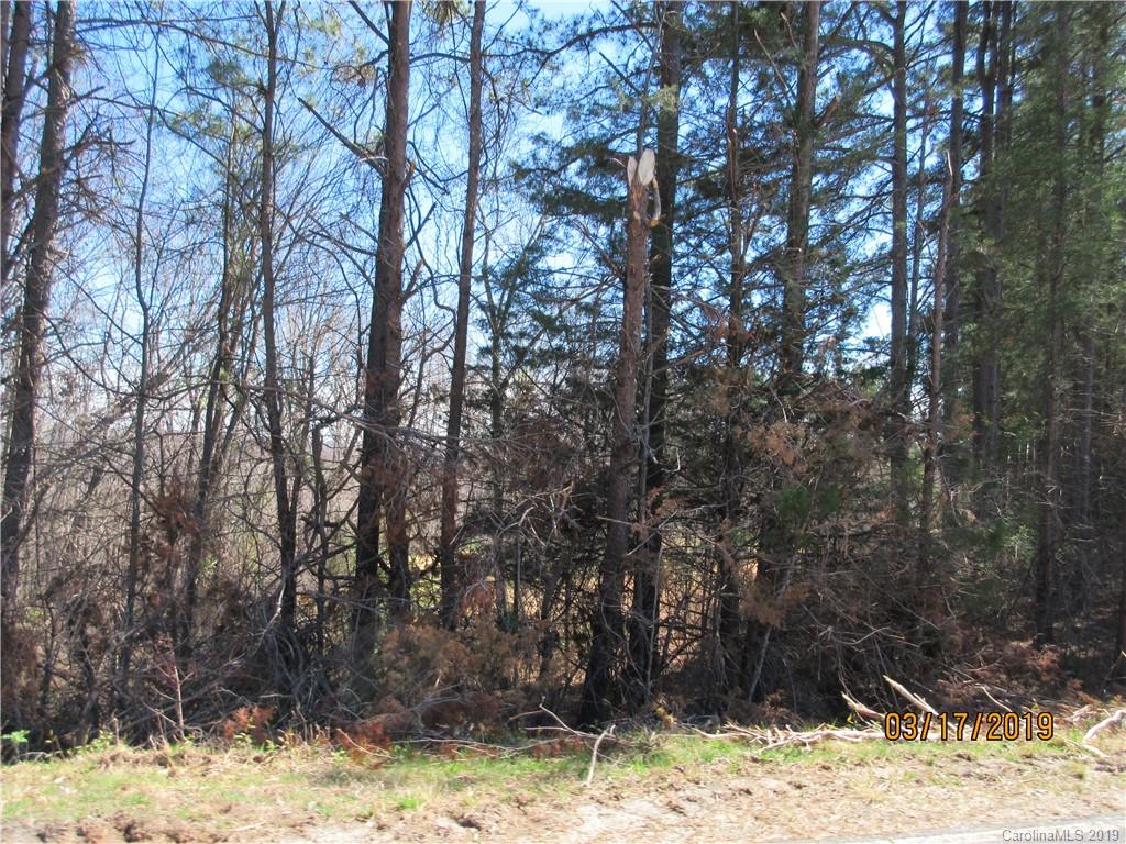 572 Pleasant Hill Loop Road Rutherfordton, NC 28139 - Photo 4 of 6