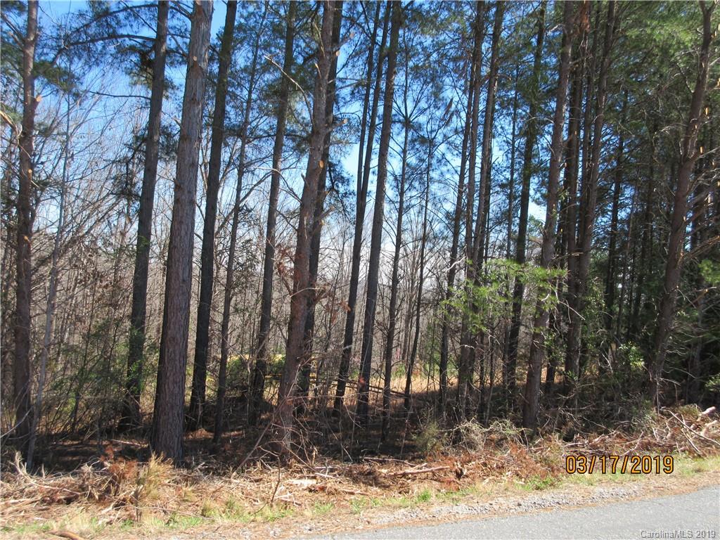 572 Pleasant Hill Loop Road Rutherfordton, NC 28139 - Photo 5 of 6