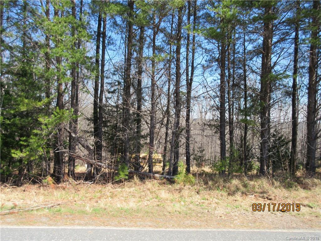 572 Pleasant Hill Loop Road Rutherfordton, NC 28139 - Photo 6 of 6
