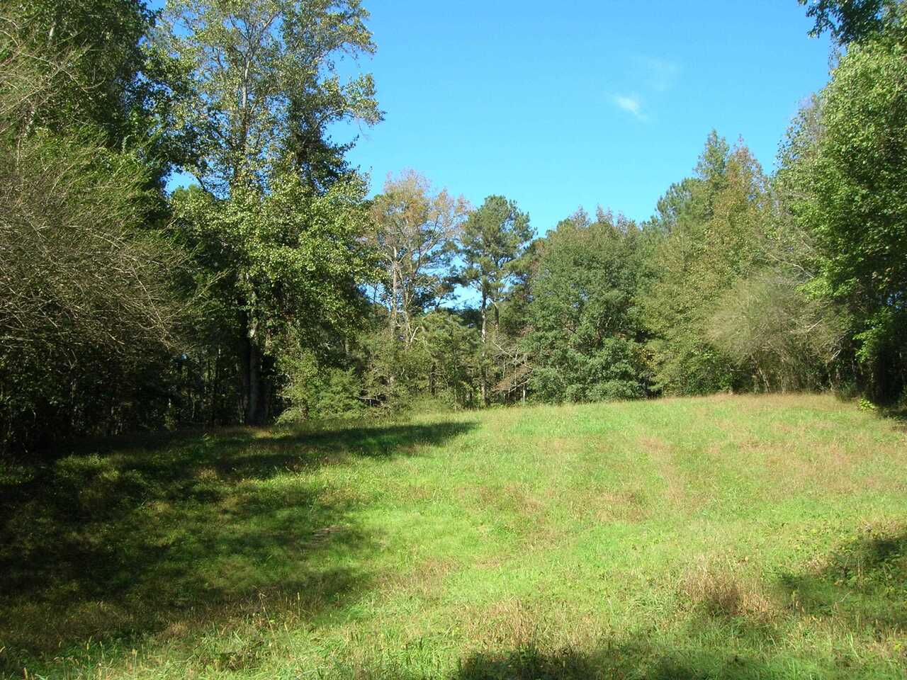 a view of outdoor space and yard