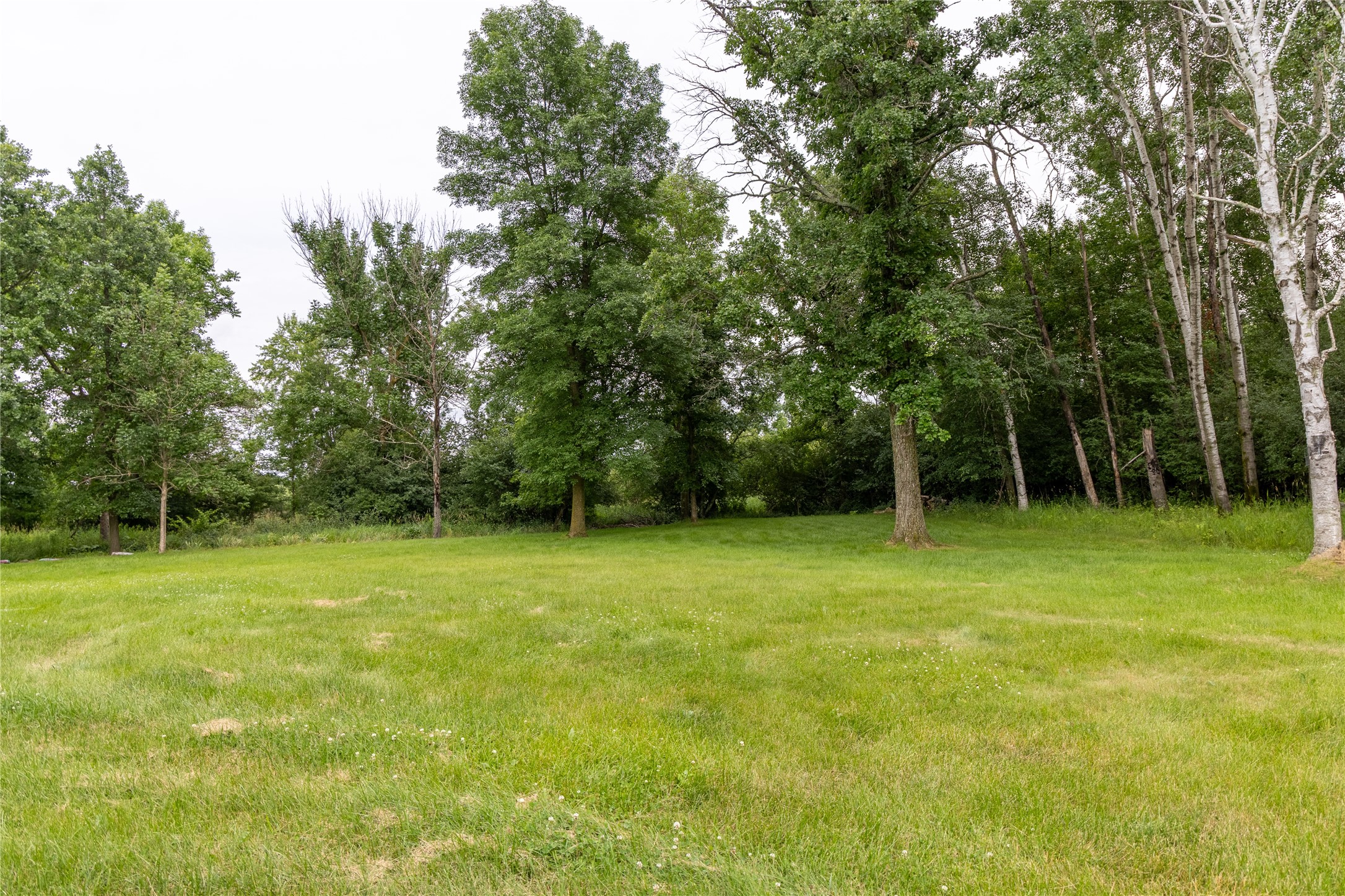 W6229 County Road P Tony, WI 54563 - Photo 33 of 42