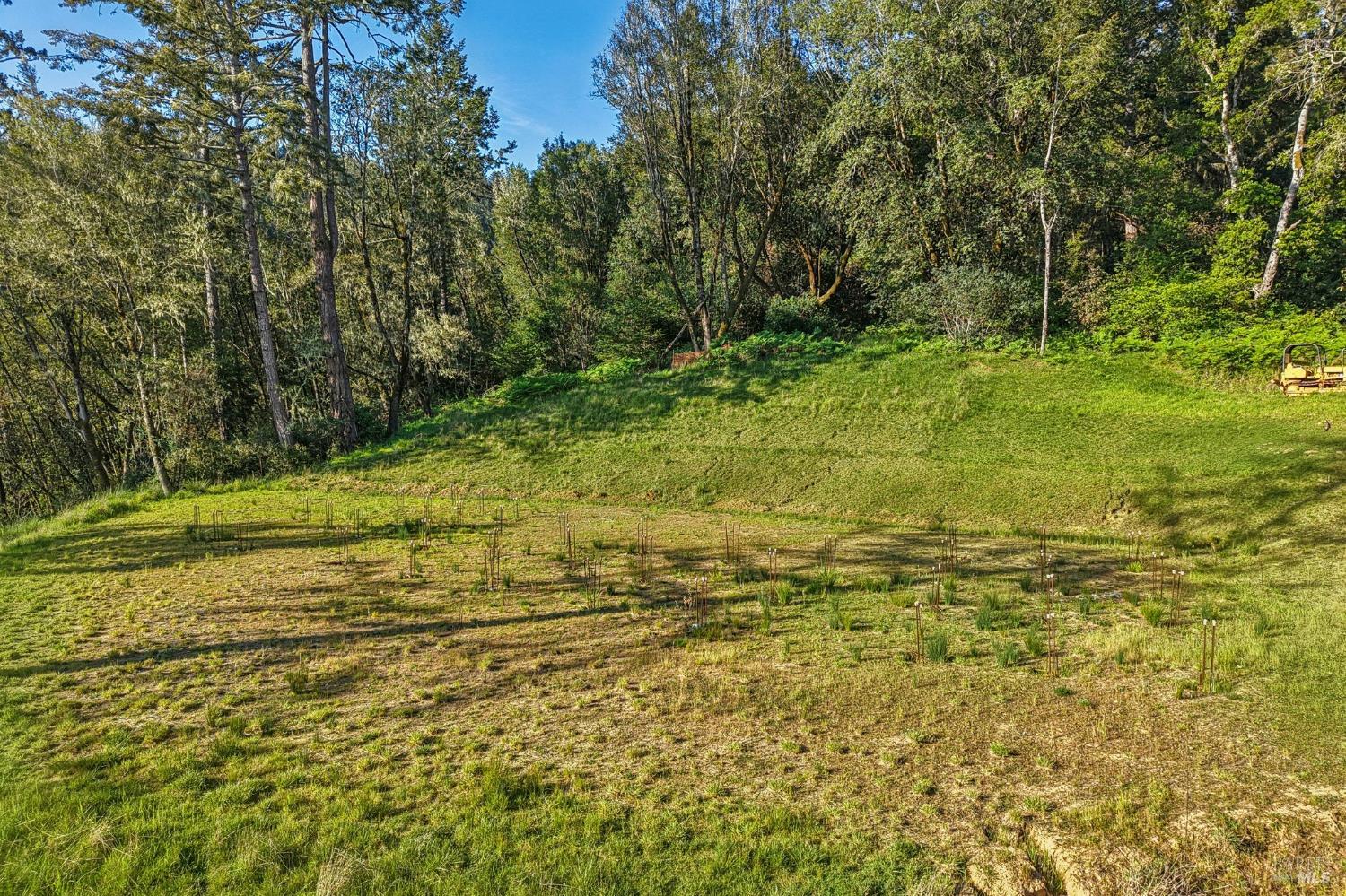 70 Fox Drive Point Reyes Station, CA 94956 - Photo 13 of 34 a view of a yard with yellow house