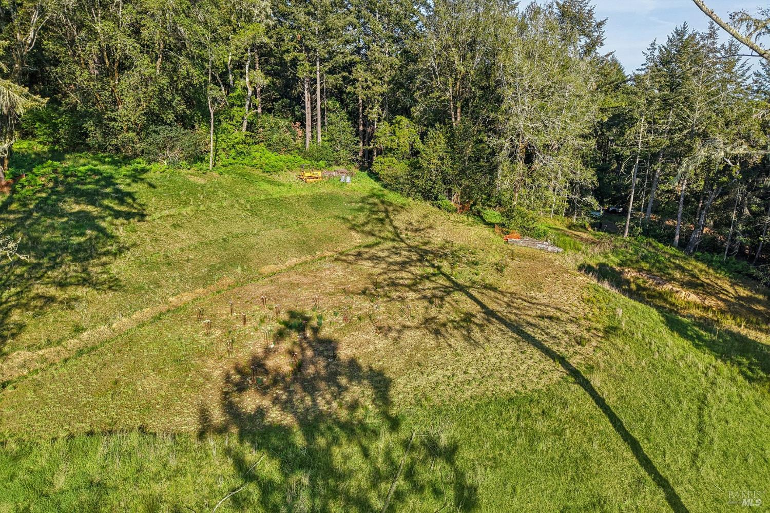 70 Fox Drive Point Reyes Station, CA 94956 - Photo 14 of 34 a view of yard with green space