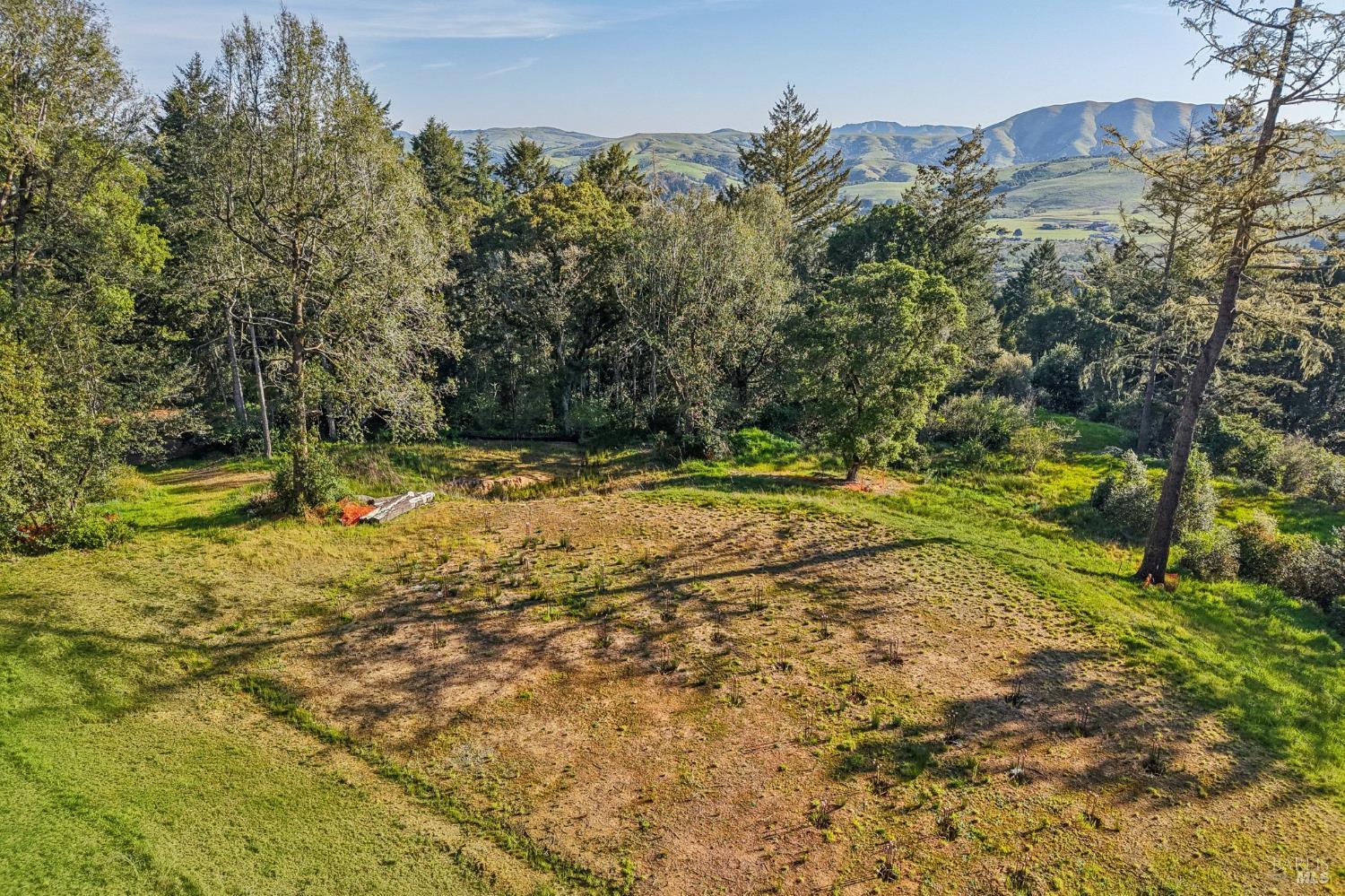 70 Fox Drive Point Reyes Station, CA 94956 - Photo 15 of 34 a view of swimming pool with a yard