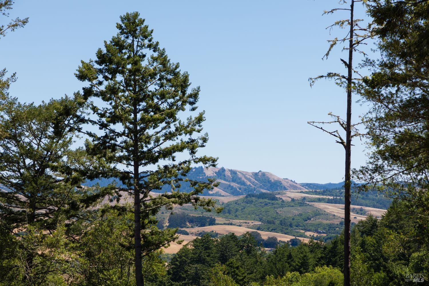 70 Fox Drive Point Reyes Station, CA 94956 - Photo 26 of 34 a view of mountain with a tree in the background