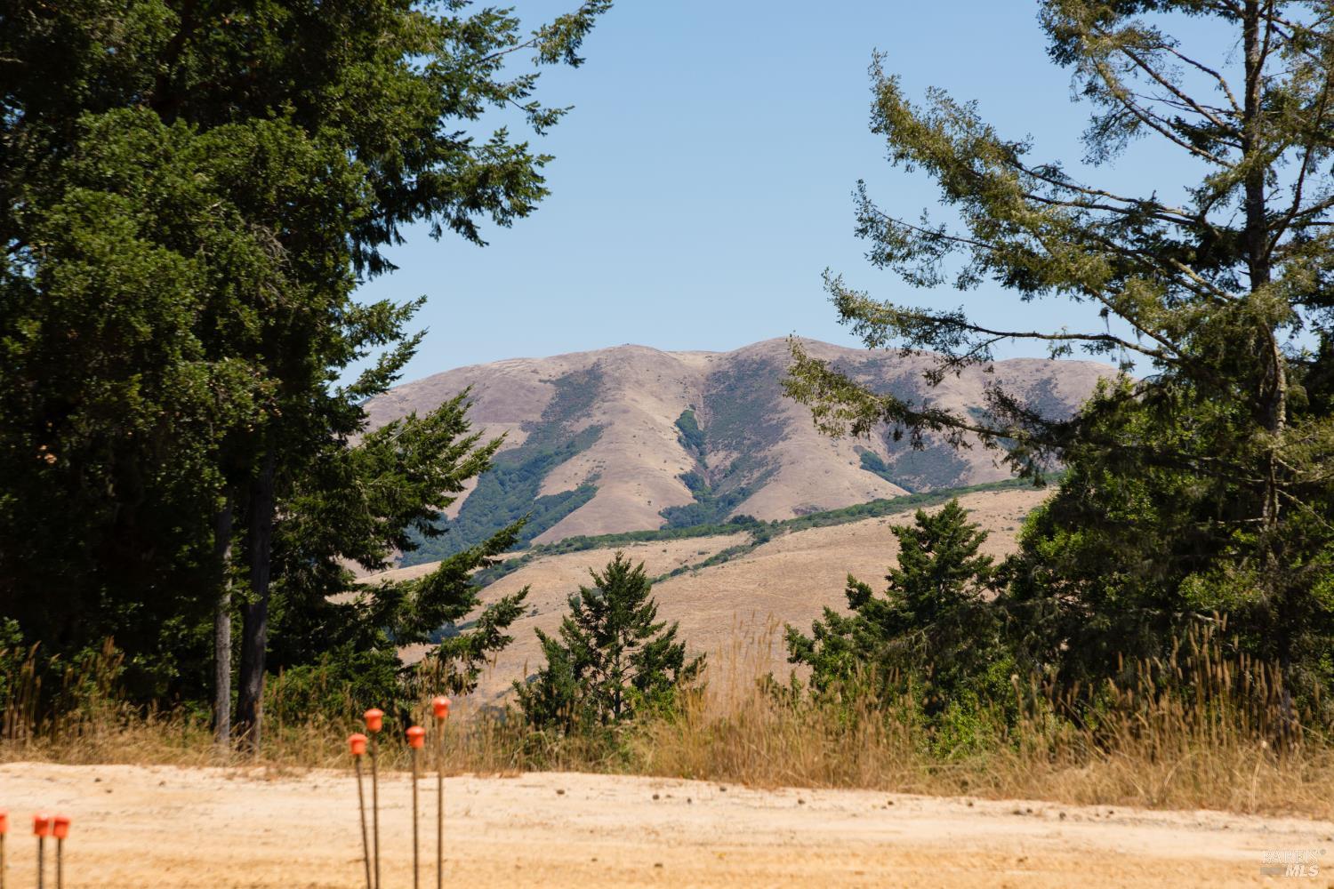 70 Fox Drive Point Reyes Station, CA 94956 - Photo 27 of 34 a view of a backyard of the house