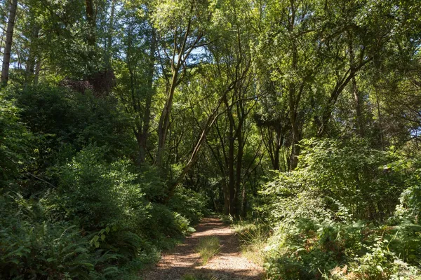 $1,525,000 | 70 Fox Drive, Point Reyes Station, CA 94956