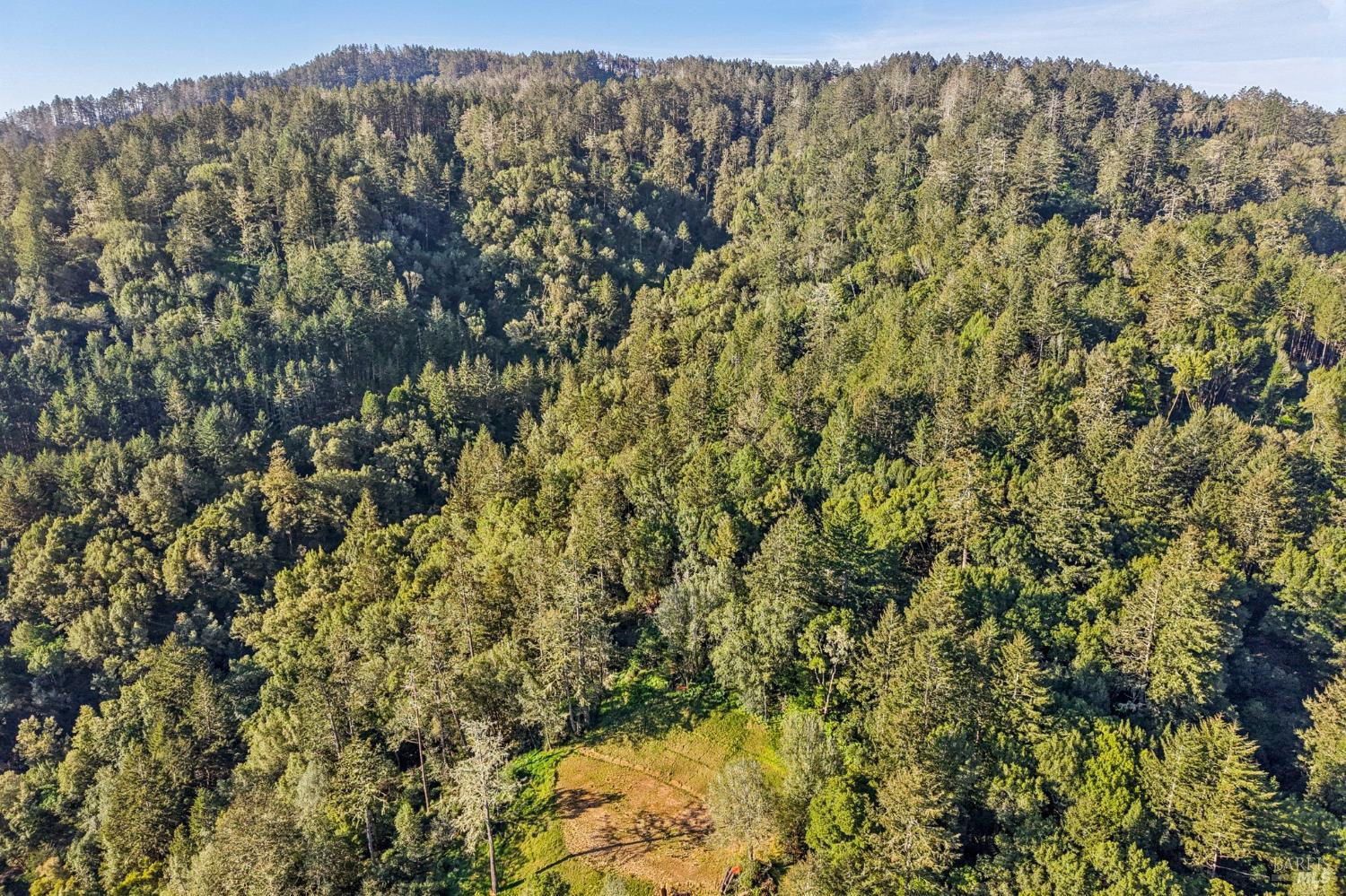70 Fox Drive Point Reyes Station, CA 94956 - Photo 3 of 34 a view of a forest with an outdoor space
