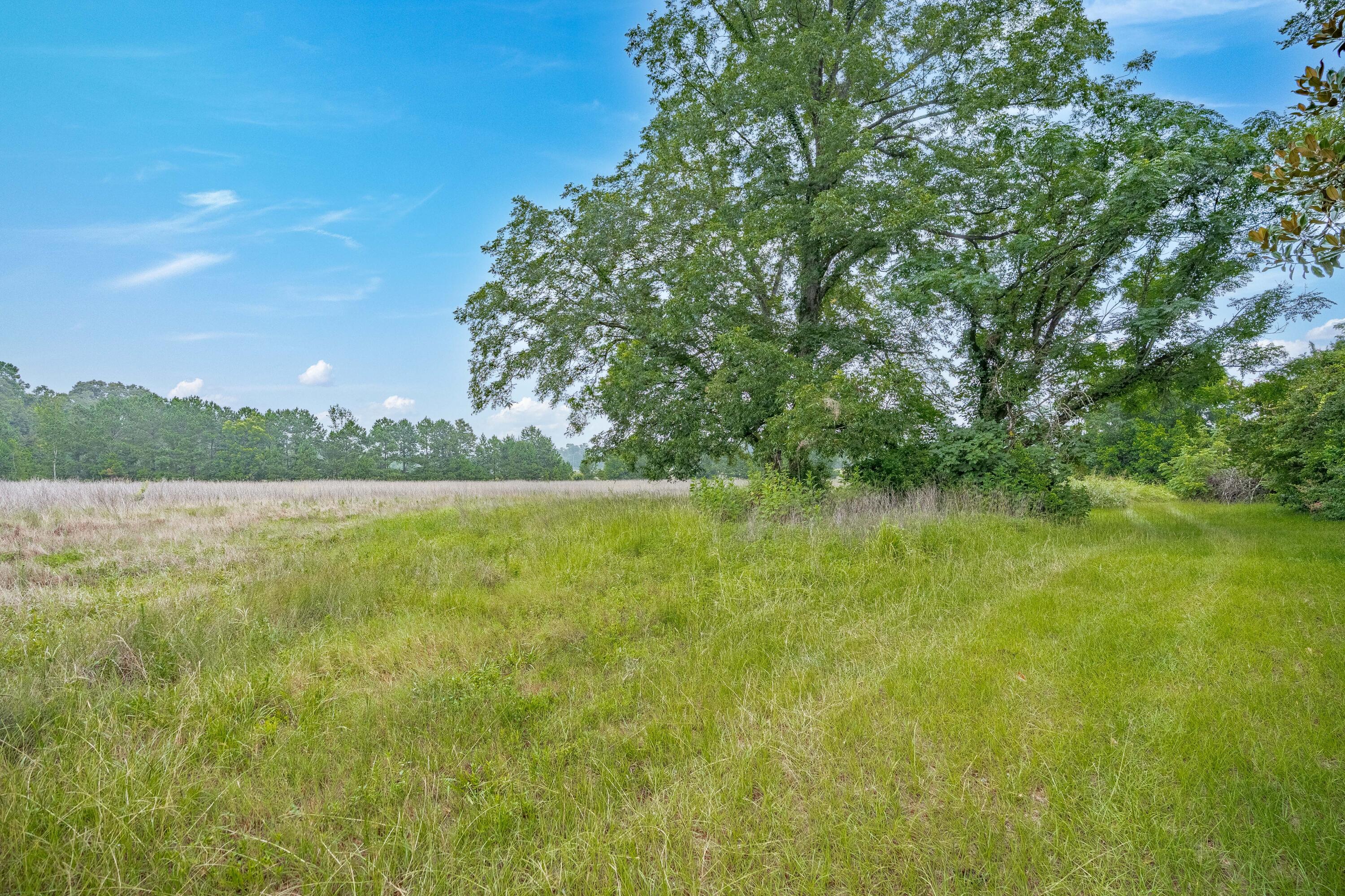 242 Hammond Road Beech Island, SC 29842 - Photo 11 of 68