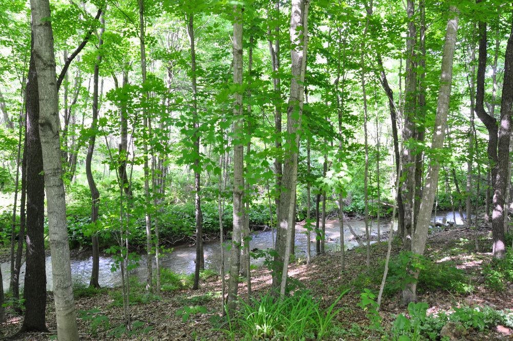 5517 Sweet Springs Valley Road Union, WV 24983 - Photo 52 of 74 Gallery Image 52