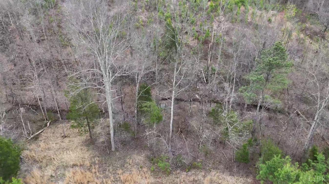 0 Old Courthouse Road Appomattox, VA 24522 - Photo 15 of 55 Gallery Image 15