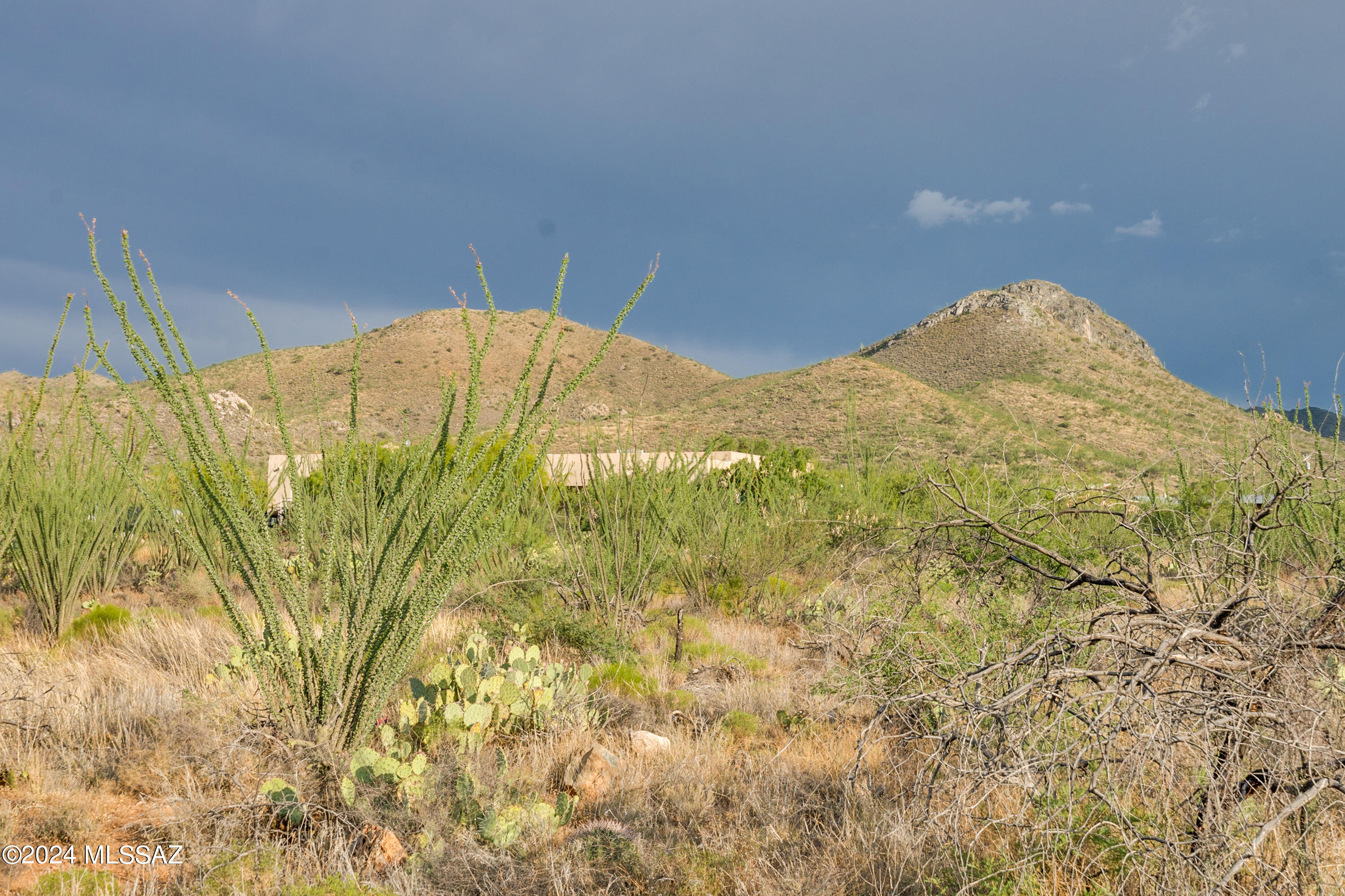 9783 East Ocotillo Rim Trail Vail, AZ 85641 - Photo 22 of 24 Gallery Image 22