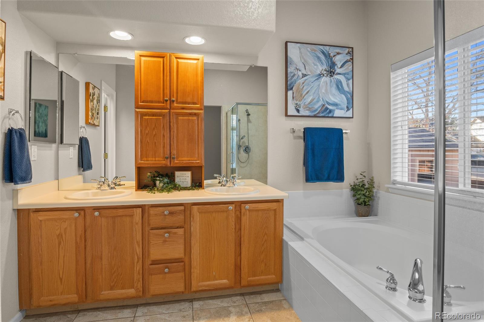 20800 Omaha Avenue Parker, CO 80138 - Photo 17 of 38 a bathroom with a tub a sink and a large mirror