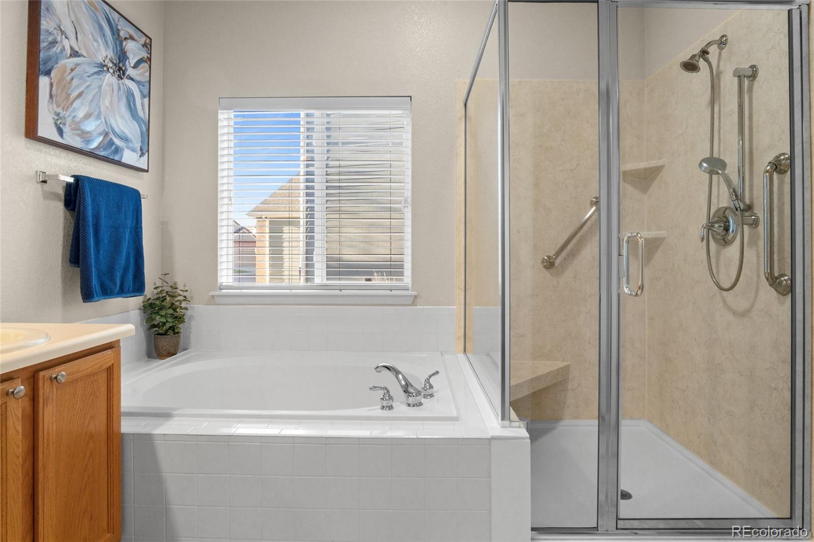 20800 Omaha Avenue Parker, CO 80138 - Photo 18 of 38 a bathroom with a bathtub and a shower