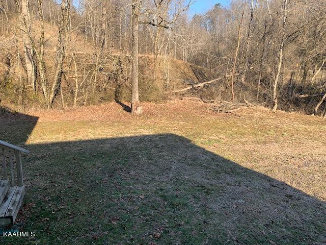 114 Mehaffey Road Powell, TN 37849 - Photo 25 of 28 Room to roam