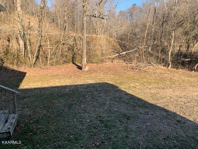 114 Mehaffey Road Powell, TN 37849 - Photo 26 of 28 Private
