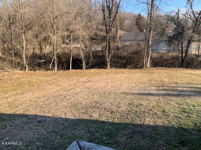 114 Mehaffey Road Powell, TN 37849 - Photo 27 of 28 Great yard