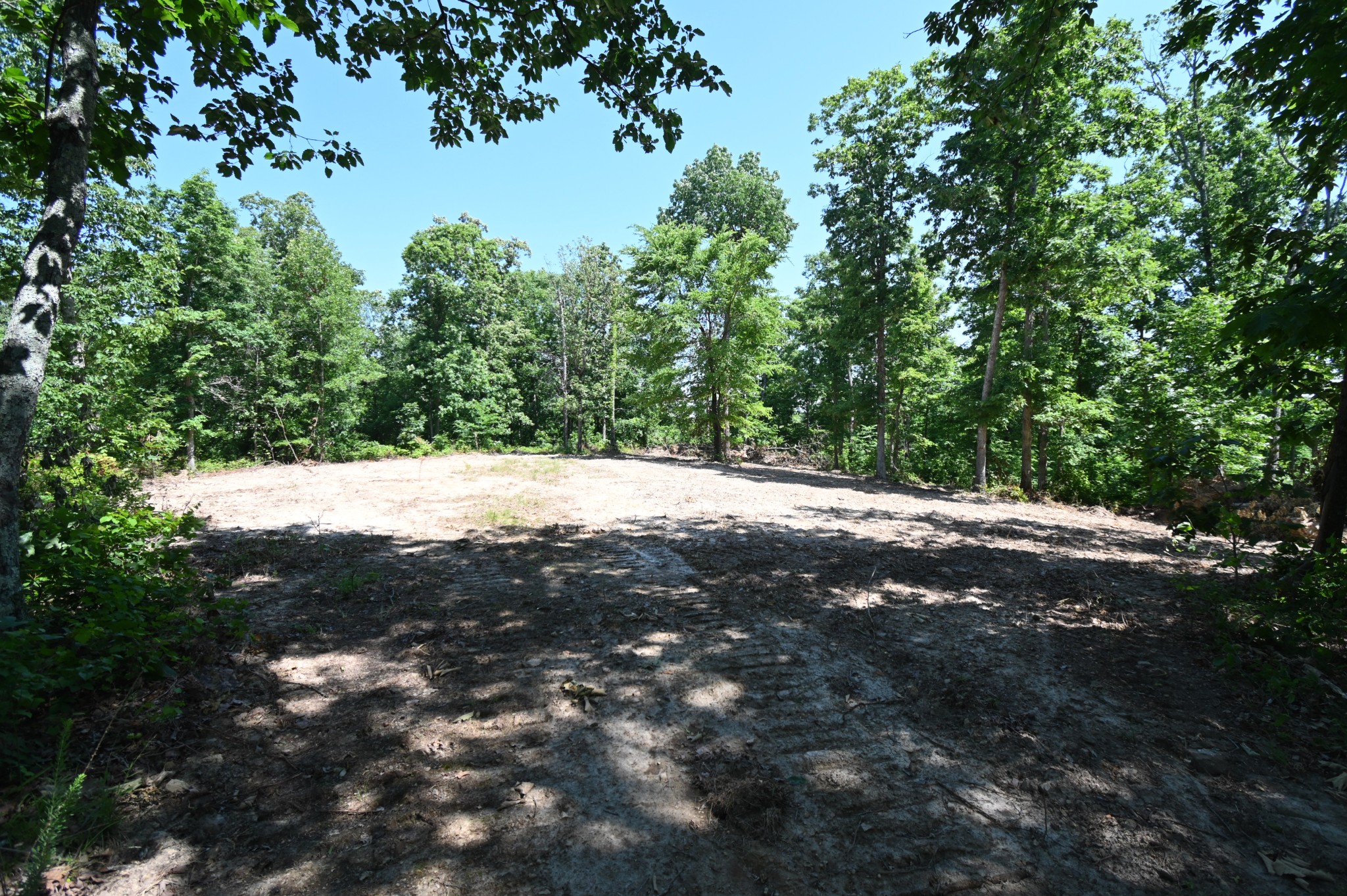 0 Bear Creek Road Waverly, TN 37185 - Photo 7 of 35 a view of road with trees