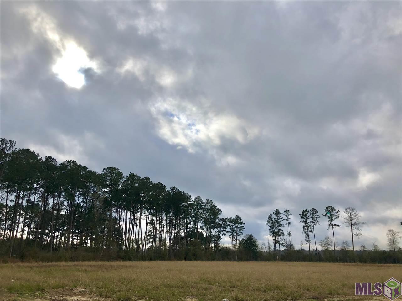 14254 Courtney Road Walker, LA 70785 - Photo 1 of 1 Gallery Image 1