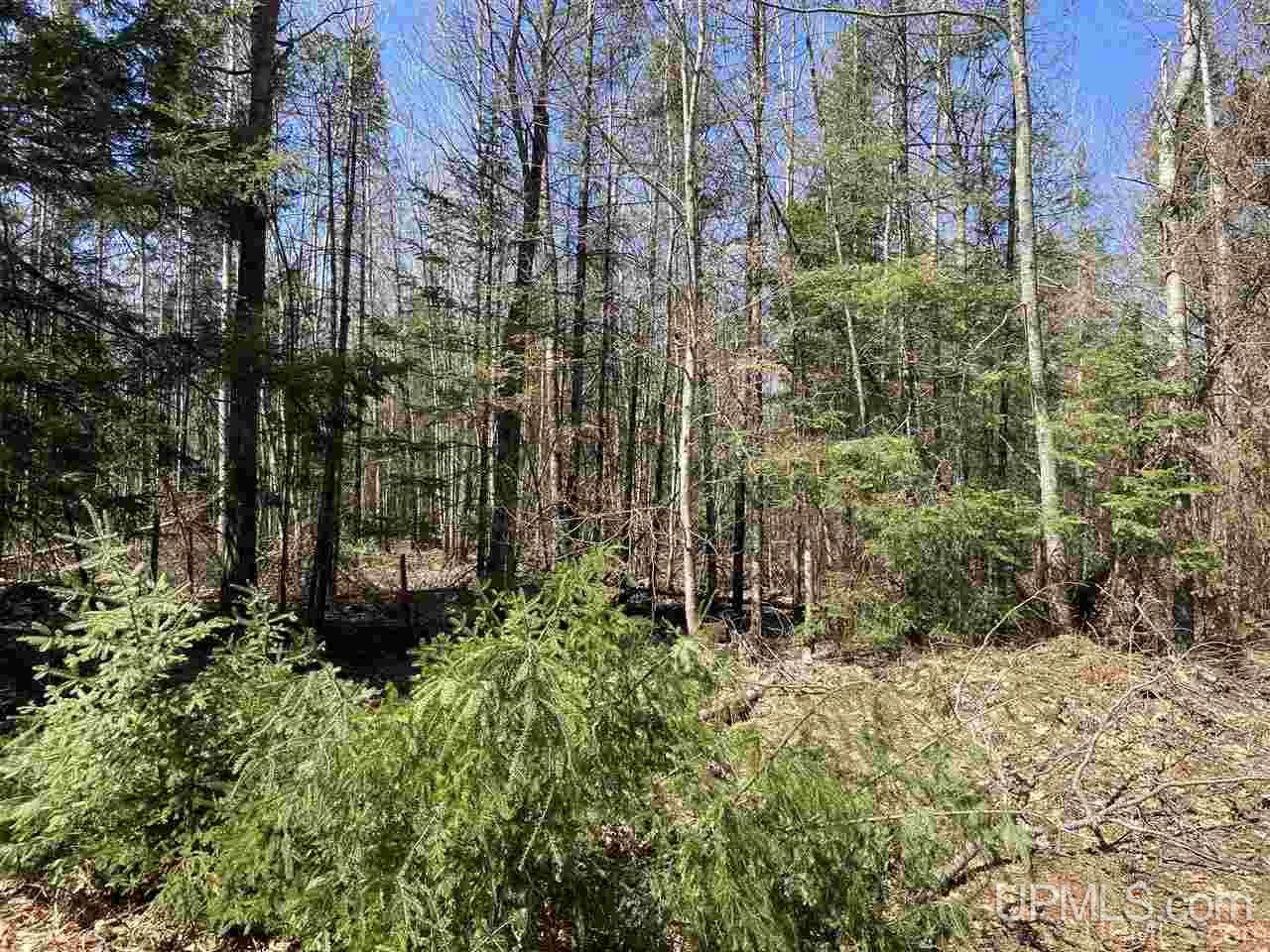 Tbd Tbd Off Powerline Gwinn, MI 49841 - Photo 26 of 28