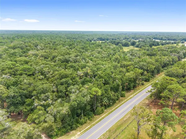 a view of a field with an ocean