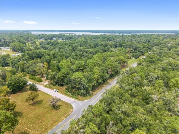 a view of a forest with an outdoor space