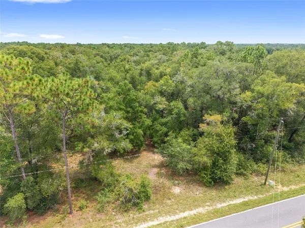a view of a yard with a mountain