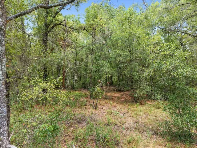 a view of a yard with an outdoor space