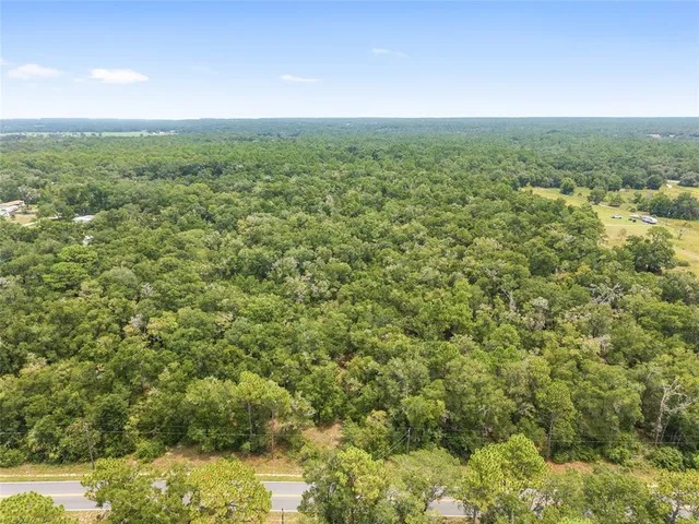 a view of a field with a tree