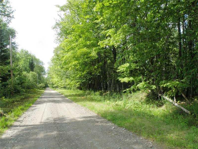 Lot 5-6 Pullen Road Dexter, ME 04930 - Photo 1 of 18 Land/Lot. Pullen Road fntg