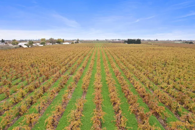 $1,250,000 | 14235 Vintage Road, Lodi, CA 95240