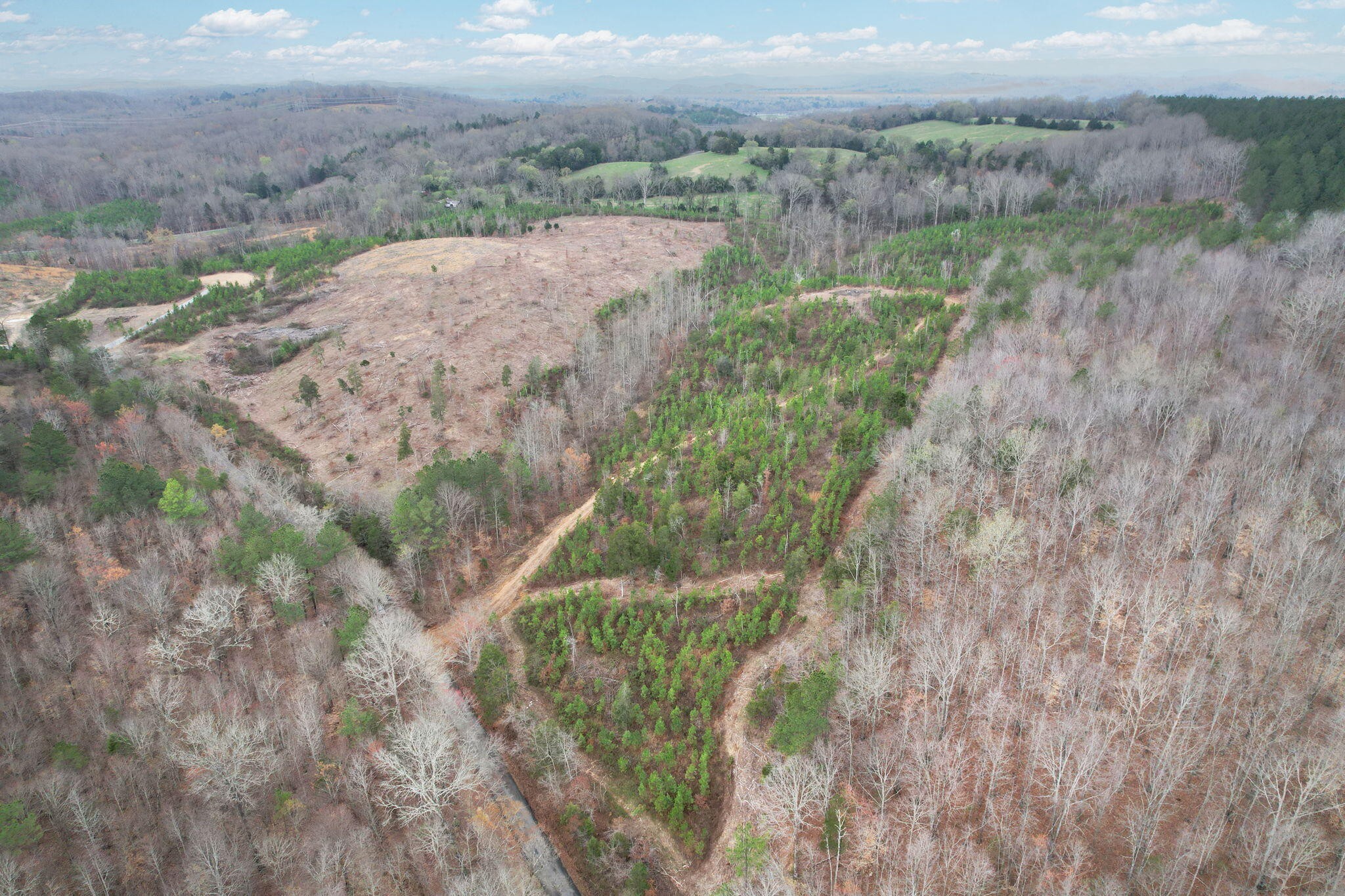 0 Big Sewee Road Decatur, TN 37322 - Photo 1 of 23