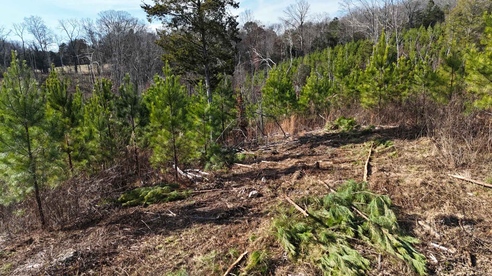 0 Big Sewee Road Decatur, TN 37322 - Photo 15 of 23