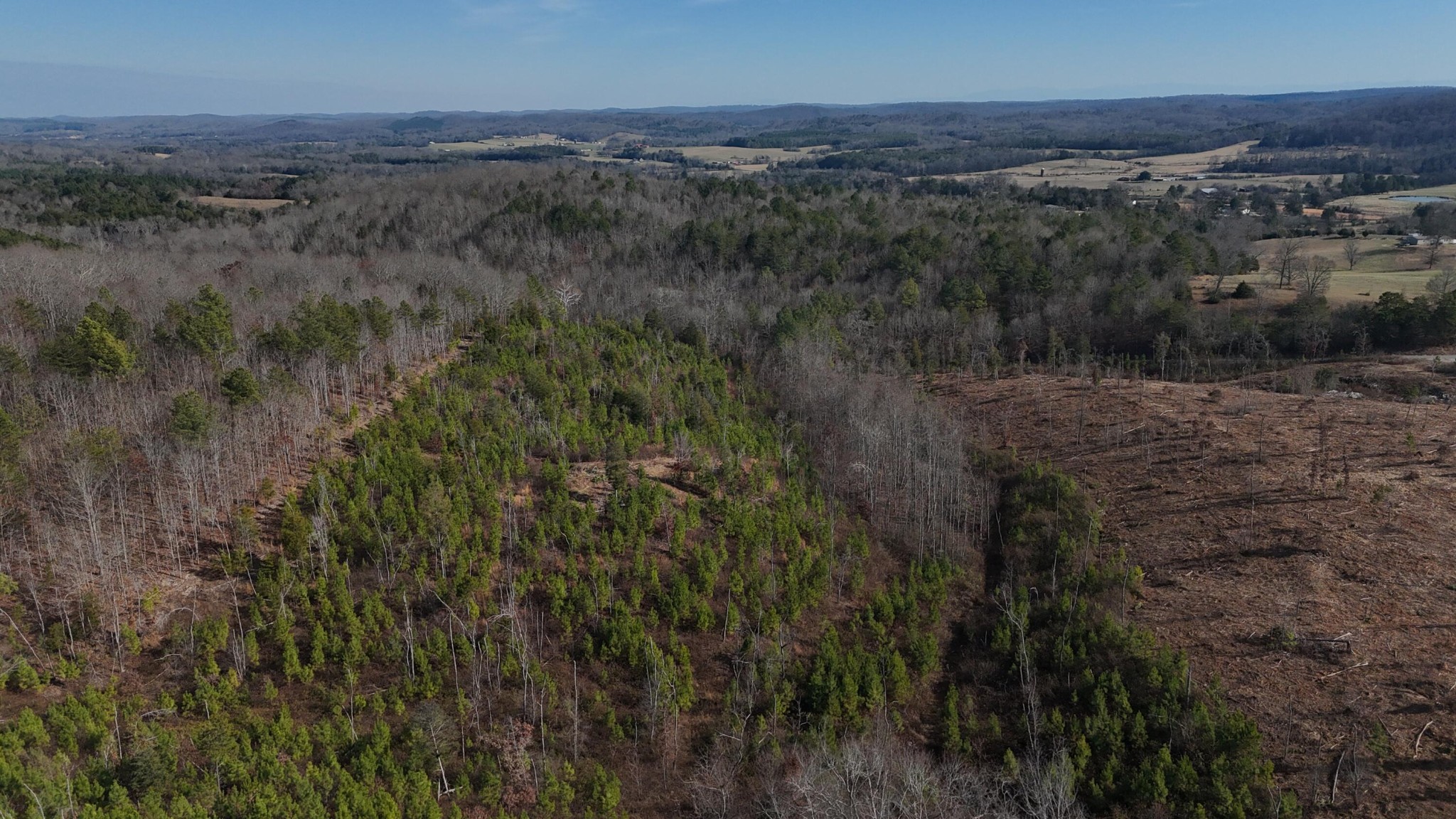 0 Big Sewee Road Decatur, TN 37322 - Photo 20 of 23
