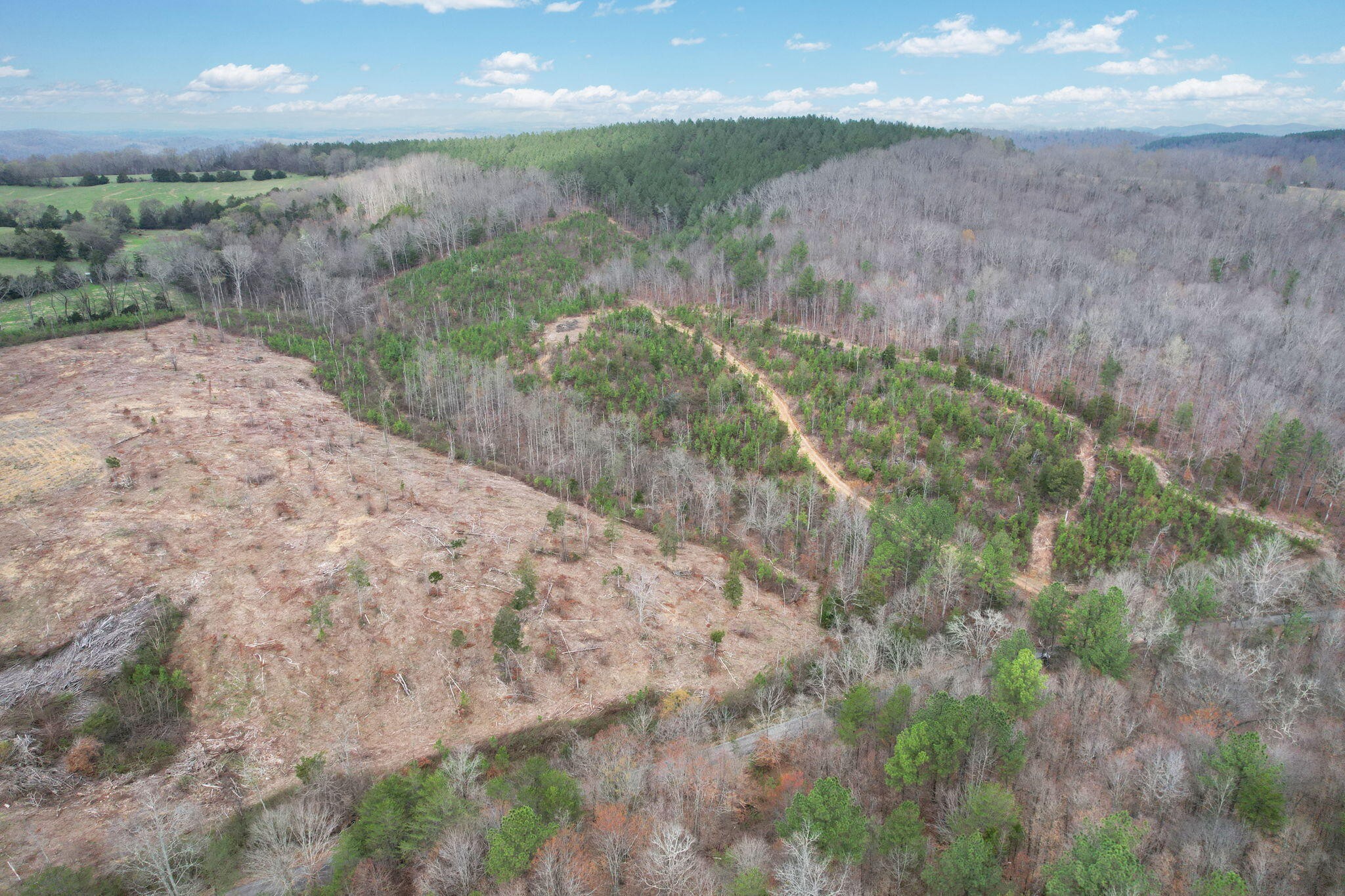 0 Big Sewee Road Decatur, TN 37322 - Photo 2 of 23