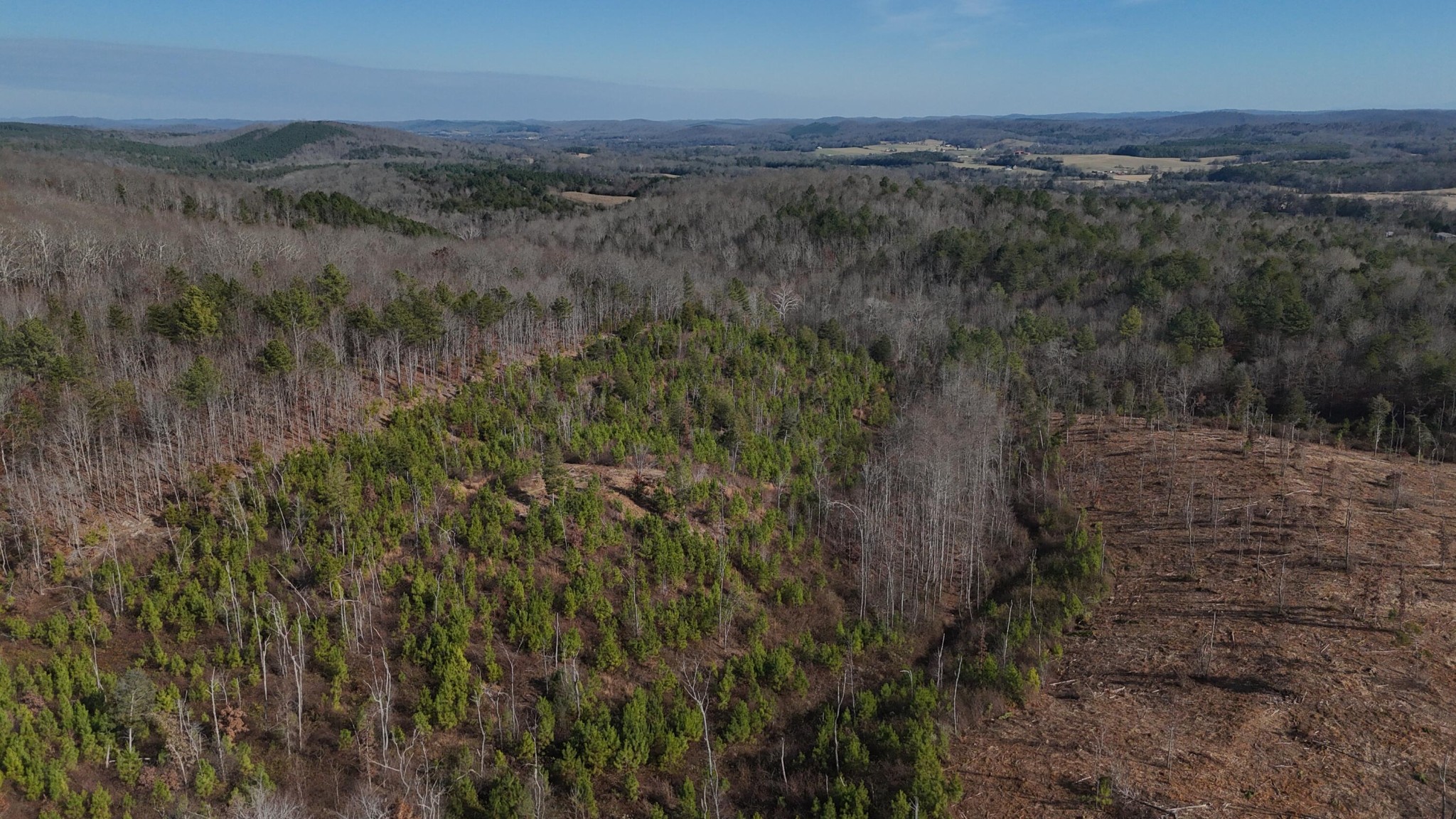 0 Big Sewee Road Decatur, TN 37322 - Photo 21 of 23