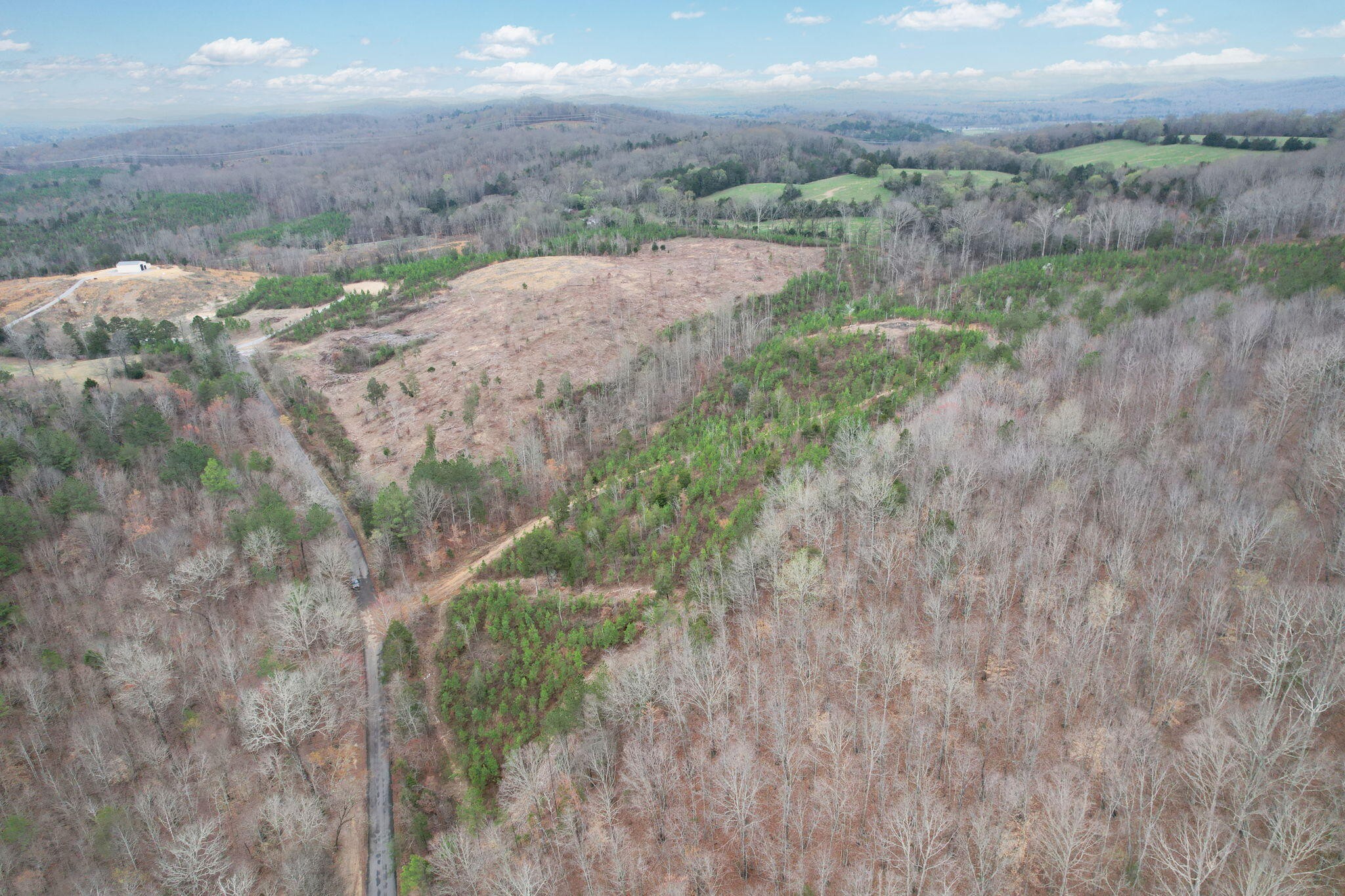 0 Big Sewee Road Decatur, TN 37322 - Photo 3 of 23