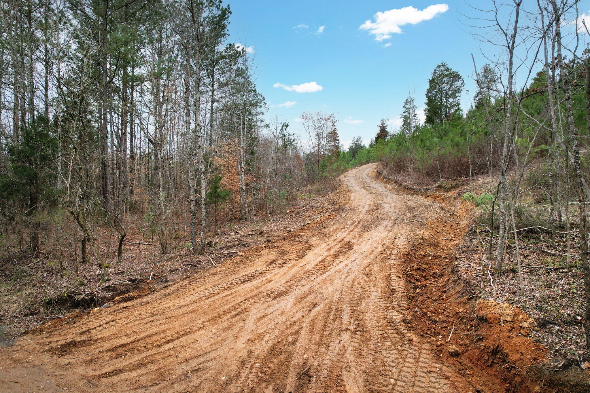 0 Big Sewee Road Decatur, TN 37322 - Photo 4 of 23