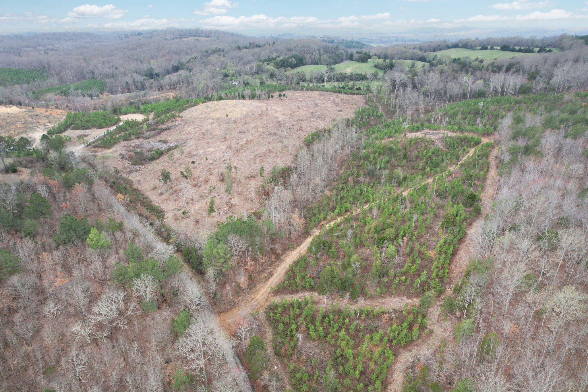 0 Big Sewee Road Decatur, TN 37322 - Photo 6 of 23