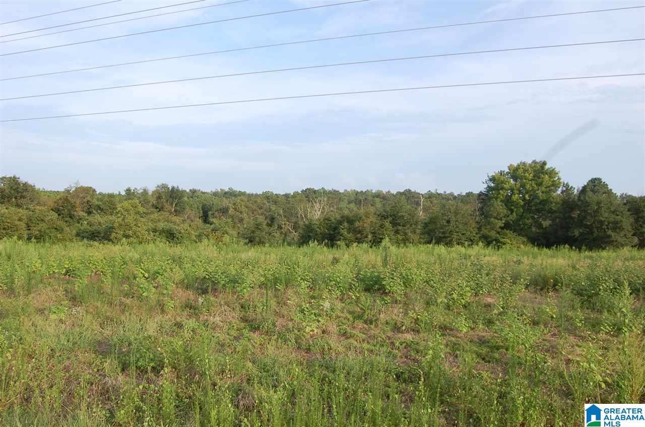 16 County Road, Unit 90 Maplesville, AL 36750 - Photo 7 of 15