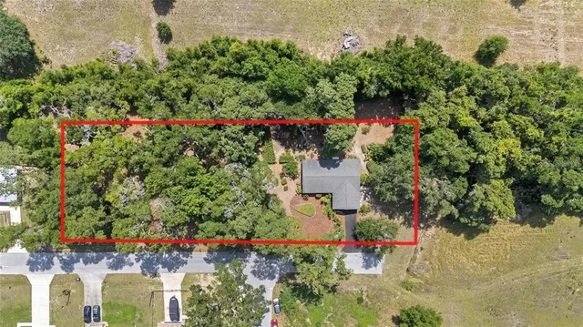 a view of a garden with flowers