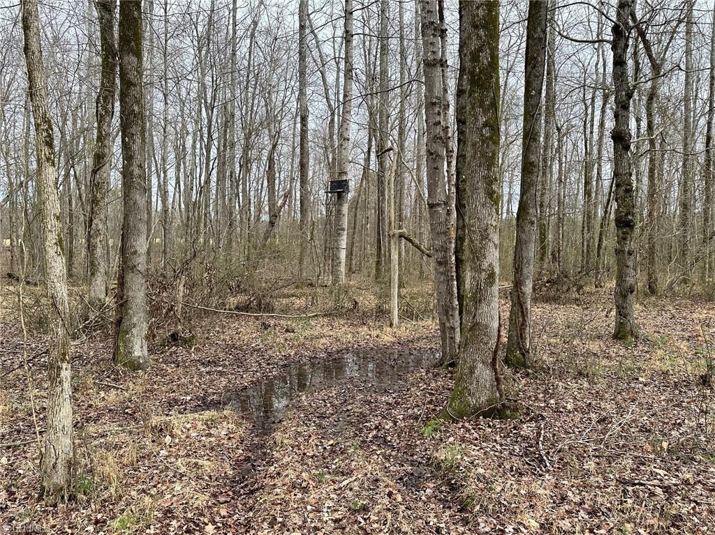 0 Alamance County Line Road Liberty, NC 27298 - Photo 13 of 18 Gallery Image 13