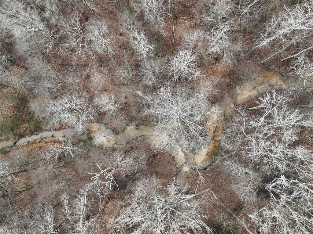 0 Alamance County Line Road Liberty, NC 27298 - Photo 14 of 18 Gallery Image 14